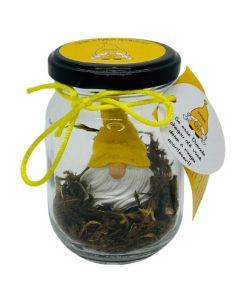 DUENDE NO POTE AMIZADE