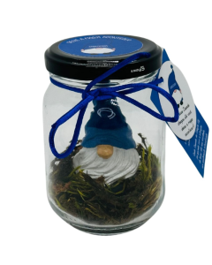 DUENDE NO POTE SABEDORIA