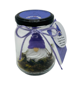 DUENDE NO POTE SAÚDE